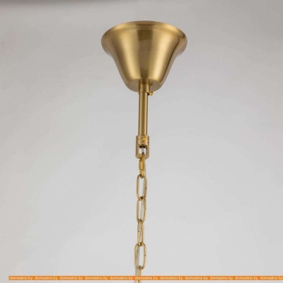 Подвесная люстра Favourite Prestige 2974-24P фотография