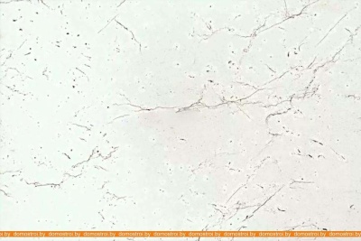 Кухня ВерсоМебель ВерсоЛайн 8-2.4 (белый 001/нежно-зеленый 032) фотография