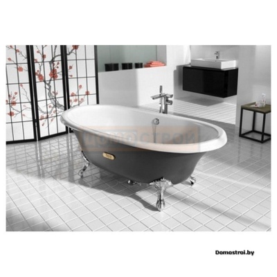 Чугунная ванна Roca Newcast Grey фотография