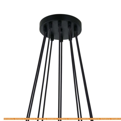 Подвесная люстра Favourite Pfefferling 2364-10P фотография