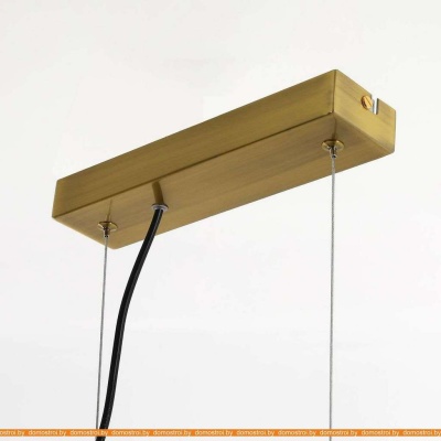 Подвесная люстра Favourite Idem 2723-4P фотография