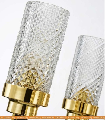 Подвесная люстра Favourite Anima 2812-12P фотография