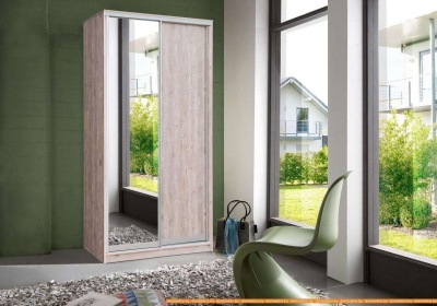 Шкаф-купе Рэйгрупп 233450 SSX Elgon РГ-01.05 (сосна натуральная/хром) фотография