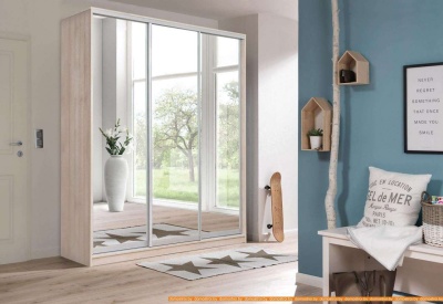 Шкаф-купе Рэйгрупп 120450 VVX Elgon РГ-06.05 (венге/хром) фотография