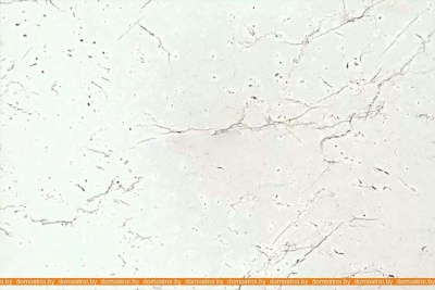 Кухня ВерсоМебель ВерсоЛайн 8-1.9 (белый 001/черный графит 042) фотография