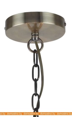 Подвесная люстра Favourite Castellum 2769-8P фотография