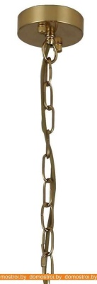 Подвесная люстра Favourite Orion 2908-6P фотография