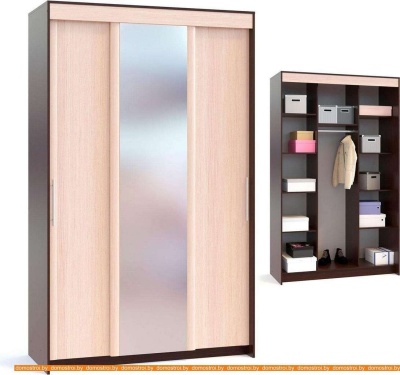 Шкаф-купе Сокол ШР-186.31 с зеркалом (венге/беленый дуб) фотография