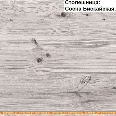 Кухня Интерлиния Мила Лайт 1.6-60 (серебристый-бетон-бискайская сосна) фотография