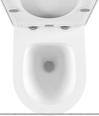 Унитаз Lavinia Boho Biore Rimless 21010006 (чаша, пневмокрышка, шум-я) фотография